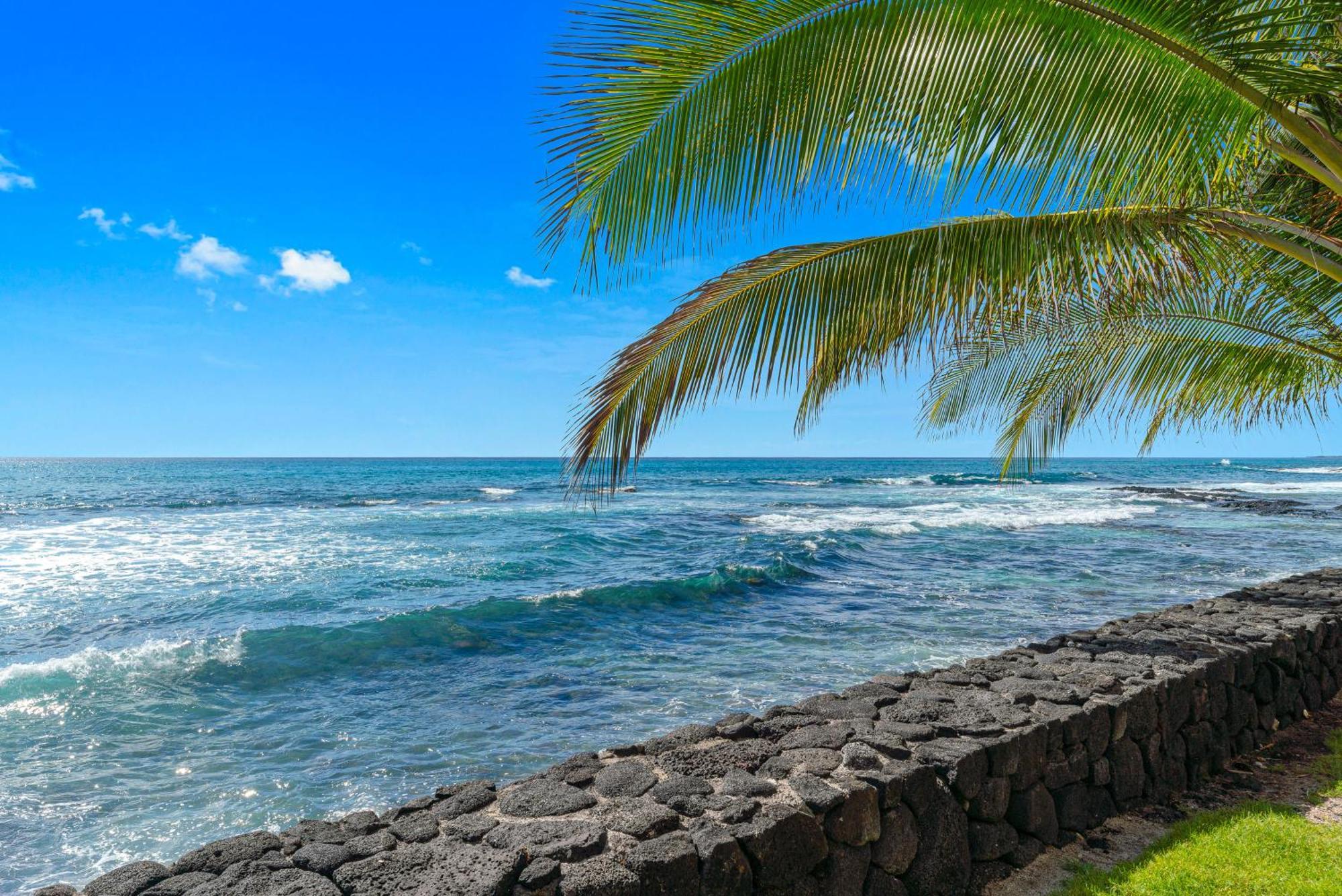 Hotel Kona Bali Kai #334 Kailua-Kona Esterno foto